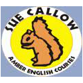 szkoła amber english courses - sue callow