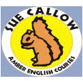 rzeszow-amber_english_courses_-_sue_callow